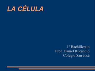LA CÉLULA

1º Bachillerato
Prof. Daniel Rucandio
Colegio San José

 