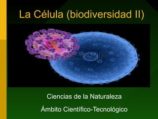 La Célula (biodiversidad II)
Ciencias de la Naturaleza
Ámbito Científico-Tecnológico
 