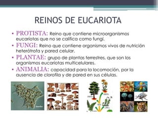 REINOS DE EUCARIOTA
• PROTISTA: Reino que contiene microorganismos
eucariotas que no se califica como fungí.
• FUNGI: Reino que contiene organismos vivos de nutrición
heterótrofa y pared celular.
• PLANTAE: grupo de plantas terrestres, que son los
organismos eucariotas multicelulares.
• ANIMALIA: capacidad para la locomoción, por la
ausencia de clorofila y de pared en sus células.
 
