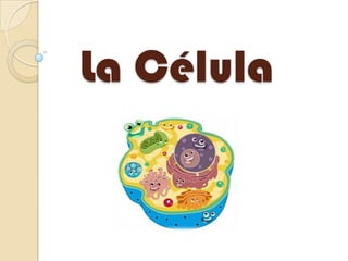 La Célula
 