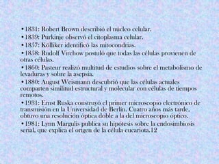 •1831: Robert Brown describió el núcleo celular.
•1839: Purkinje observó el citoplasma celular.
•1857: Kölliker identificó las mitocondrias.
•1858: Rudolf Virchow postuló que todas las células provienen de
otras células.
•1860: Pasteur realizó multitud de estudios sobre el metabolismo de
levaduras y sobre la asepsia.
•1880: August Weismann descubrió que las células actuales
comparten similitud estructural y molecular con células de tiempos
remotos.
•1931: Ernst Ruska construyó el primer microscopio electrónico de
transmisión en la Universidad de Berlín. Cuatro años más tarde,
obtuvo una resolución óptica doble a la del microscopio óptico.
•1981: Lynn Margulis publica su hipótesis sobre la endosimbiosis
serial, que explica el origen de la célula eucariota.12
 