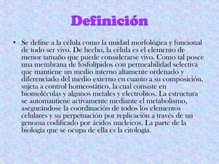 • Se define a la célula como la unidad morfológica y funcional
de todo ser vivo. De hecho, la célula es el elemento de
menor tamaño que puede considerarse vivo. Como tal posee
una membrana de fosfolípidos con permeabilidad selectiva
que mantiene un medio interno altamente ordenado y
diferenciado del medio externo en cuanto a su composición,
sujeta a control homeostático, la cual consiste en
biomoléculas y algunos metales y electrolitos. La estructura
se automantiene activamente mediante el metabolismo,
asegurándose la coordinación de todos los elementos
celulares y su perpetuación por replicación a través de un
genoma codificado por ácidos nucleicos. La parte de la
biología que se ocupa de ella es la citología.
 