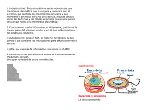 1 Individualidad: Todas las células están rodeadas de una
membrana plasmática que las separa y comunica con el
exterior, que controla los movimientos celulares y que
mantiene el potencial eléctrico de la célula. Algunas células
como las bacterias y las células vegetales poseen una pared
celular que rodea a la membrana plasmática.
2 Contienen un medio hidrosalino, el citoplasma, que forma la
mayor parte del volumen celular y en el que están inmersos
los orgánulos celulares.
3 Autogobierno: poseen ADN, el material hereditario de los
genes y que contiene las instrucciones para el funcionamiento
celular.
4 ARN, que expresa la información contenida en el ADN.
5 Enzimas y otras proteínas que ponen en funcionamiento la
maquinaria celular.
Una gran variedad de otras biomoléculas.
clasificación
Eucariota y procariota
La célula procariota
 