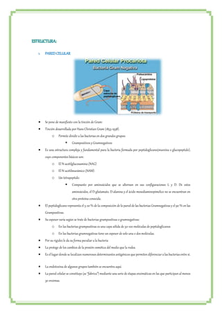 ESTRUCTURA: 
1. PARED CELULAR 
 Se pone de manifiesto con la tinción de Gram: 
 Tinción desarrollada por Hans Christian Gram (1853-1938). 
o Permite dividir a las bacterias en dos grandes grupos: 
 Grampositivos y Gramnegativos 
 Es una estructura compleja y fundamental para la bacteria formada por peptidoglicano(mureína o glucopeptido), 
cuyo componentes básicos son: 
o El N-acetilglucosamina (NAG) 
o El N-acetilmurámico (NAM). 
o Un tetrapeptido: 
 Compuesto por aminoácidos que se alternan en sus configuraciones L y D. De estos 
aminoácidos, el D-glutamato, D-alanina y el ácido mesodiaminopimelico no se encuentran en 
otra proteína conocida. 
 El peptidoglicano representa el 5-20 % de la composición de la pared de las bacterias Gramnegativas y el 90 % en las 
Grampositivas. 
 Su espesor varía según se trate de bacterias grampositivas o gramnegativas: 
o En las bacterias grampositivas es una capa sólida de 50-100 moléculas de peptidoglicanos 
o En las bacterias gramnegativas tiene un espesor de solo una o dos moléculas. 
 Por su rigidez le da su forma peculiar a la bacteria 
 La protege de los cambios de la presión osmótica del medio que la rodea. 
 Es el lugar donde se localizan numerosos determinantes antigénicos que permiten diferenciar a las bacterias entre sí. 
 La endotoxina de algunos grupos también se encuentra aquí. 
 La pared celular se constituye (se “fabrica”) mediante una serie de etapas enzimáticas en las que participan al menos 
30 enzimas. 
 