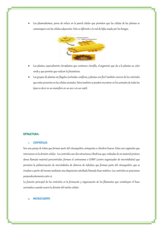  Los plasmodesmos, poros de enlace en la pared celular que permiten que las células de las plantas se 
comuniquen con las células adyacentes. Esto es diferente a la red de hifas usada por los hongos. 
 Los plastos, especialmente cloroplastos que contienen clorofila, el pigmento que da a la plantas su color 
verde y que permite que realicen la fotosíntesis. 
 Los grupos de plantas sin flagelos (incluidas coníferas y plantas con flor) también carecen de los centriolos 
que están presentes en las células animales. Estos también se pueden encontrar en los animales de todos los 
tipos es decir en un mamífero en un ave o en un reptil. 
ESTRUCTURA: 
1. CENTRÍOLOS 
Son una pareja de tubos que forman parte del citoesqueleto, semejantes a cilindros huecos. Estos son orgánulos que 
intervienen en la división celular. Los centriolos son dos estructuras cilíndricas que, rodeadas de un material proteico 
denso llamado material pericentriolar, forman el centrosoma o COMT (centro organizador de microtúbulos) que 
permiten la polimerización de microtúbulos de dímeros de tubulina que forman parte del citoesqueleto, que se 
irradian a partir del mismo mediante una disposición estrellada llamada huso mitótico. Los centriolos se posicionan 
perpendicularmente entre sí. 
La función principal de los centriolos es la formación y organización de los filamentos que constituyen el huso 
acromático cuando ocurre la división del núcleo celular. 
2. MICROCUERPO 
 
