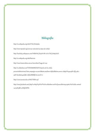 Bibliografía: 
http://es.wikipedia.org/wiki/C%C3%A9lula 
http://www.tiposde.org/ciencias-naturales/79-tipos-de-celula/ 
http://lacelula3.wikispaces.com/TAMA%C3%91O+DE+LA+C%C3%89LULA 
http://es.wikipedia.org/wiki/Bacteria 
http://www.losmicrobios.com.ar/microbios/?page_id=1242 
http://es.slideshare.net/TANIABARREZUETA/partes-de-la-celula-procariotabacteriana? 
utm_campaign=ss_search&utm_medium=default&utm_source=7&qid=b43e03d6-d1f3-4817- 
9a81-ba05b5643ed3&v=default&b&from_search=7 
http://cienciasnaturales.es/BACTERIA.swf 
http://www.facebook.com/l.php?u=http%3A%2F%2Fes.slideshare.net%2Fjosecalderon9279807%2Fcelula-animal- 
24750815&h=aAQGLbON7 
