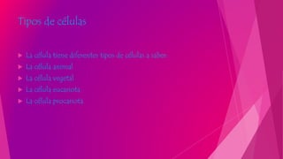 Tipos de células
 La célula tiene diferentes tipos de células a saber:
 La célula animal
 La célula vegetal
 La célula eucariota
 La célula procariota
 