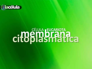 membranacitoplasmática
CÉLULA EUCARIOTA
 