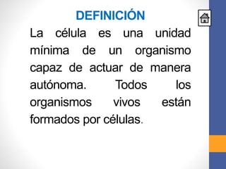 DEFINICIÓN
La célula es una unidad
mínima de un organismo
capaz de actuar de manera
autónoma. Todos los
organismos vivos están
formados por células.
 
