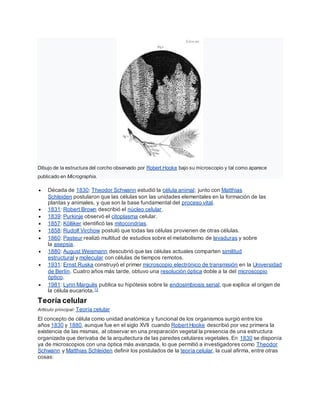 Dibujo de la estructura del corcho observado por Robert Hooke bajo su microscopio y tal como aparece
publicado en Micrographia.
 Década de 1830: Theodor Schwann estudió la célula animal; junto con Matthias
Schleiden postularon que las células son las unidades elementales en la formación de las
plantas y animales, y que son la base fundamental del proceso vital.
 1831: Robert Brown describió el núcleo celular.
 1839: Purkinje observó el citoplasma celular.
 1857: Kölliker identificó las mitocondrias.
 1858: Rudolf Virchow postuló que todas las células provienen de otras células.
 1860: Pasteur realizó multitud de estudios sobre el metabolismo de levaduras y sobre
la asepsia.
 1880: August Weismann descubrió que las células actuales comparten similitud
estructural y molecular con células de tiempos remotos.
 1931: Ernst Ruska construyó el primer microscopio electrónico de transmisión en la Universidad
de Berlín. Cuatro años más tarde, obtuvo una resolución óptica doble a la del microscopio
óptico.
 1981: Lynn Margulis publica su hipótesis sobre la endosimbiosis serial, que explica el origen de
la célula eucariota.12
Teoría celular
Artículo principal: Teoría celular
El concepto de célula como unidad anatómica y funcional de los organismos surgió entre los
años 1830 y 1880, aunque fue en el siglo XVII cuando Robert Hooke describió por vez primera la
existencia de las mismas, al observar en una preparación vegetal la presencia de una estructura
organizada que derivaba de la arquitectura de las paredes celulares vegetales. En 1830 se disponía
ya de microscopios con una óptica más avanzada, lo que permitió a investigadores como Theodor
Schwann y Matthias Schleiden definir los postulados de la teoría celular, la cual afirma, entre otras
cosas:
 