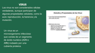 VIRUS
Los virus no son considerados células
verdaderas, aunque participan de
algunas propiedades celulares, como la
auto reproducción, la herencia y la
mutación.
Un virus es un
microorganismo infeccioso
que consta de un segmento
de ácido nucleico (ADN o
ARN) rodeado por una
cubierta proteica.
 