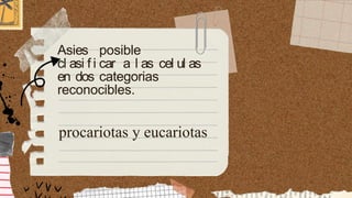 Asies posible
cl asi f i car a l as cel ul as
en dos categorias
reconocibles.
procariotas y eucariotas
 