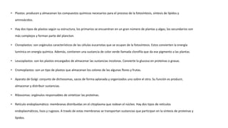 • Plastos: producen y almacenan los compuestos químicos necesarios para el proceso de la fotosíntesis, síntesis de lípidos y
aminoácidos.
• Hay dos tipos de plastos según su estructura, los primarios se encuentran en un gran número de plantas y algas; los secundarios son
más complejos y forman parte del plancton.
• Cloroplastos: son orgánulos característicos de las células eucariotas que se ocupan de la fotosíntesis. Estos convierten la energía
lumínica en energía química. Además, contienen una sustancia de color verde llamada clorofila que da ese pigmento a las plantas.
• Leucoplastos: son los plastos encargados de almacenar las sustancias incoloras. Convierte la glucosa en proteínas o grasas.
• Cromoplastos: son un tipo de plastos que almacenan los colores de las algunas flores y frutas.
• Aparato de Golgi: conjunto de dictiosomas, sacos de forma aplanada y organizados uno sobre el otro. Su función es producir,
almacenar y distribuir sustancias.
• Ribosomas: orgánulos responsables de sintetizar las proteínas.
• Retículo endoplasmático: membranas distribuidas en el citoplasma que rodean el núcleo. Hay dos tipos de retículos
endoplasmáticos, lisos y rugosos. A través de estas membranas se transportan sustancias que participan en la síntesis de proteínas y
lípidos.
 