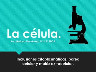 La célula.
Ana Guijarro Hernández; Nº 5; 2º BTO B

Inclusiones citoplasmáticas, pared
celular y matriz extracelular.

 