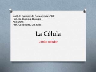La Célula
Límite celular
Instituto Superior de Profesorado N°60
Prof. De Biología- Biología I
Año: 2016
Prof. Cacciolatto, Ma. Elisa
 