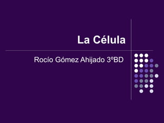 La Célula Rocío Gómez Ahijado 3ºBD  