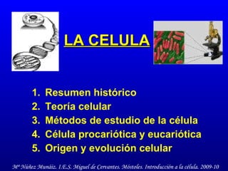 LA CELULA ,[object Object],[object Object],[object Object],[object Object],[object Object],Mª Núñez Munáiz. I.E.S. Miguel de Cervantes. Móstoles. Introducción a la célula. 2009-10 