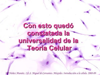 Con esto quedó  constatada la  universalidad de la  Teoría Celular Mª Núñez Munáiz. I.E.S. Miguel de Cervantes. Móstoles. Introducción a la célula. 2008-09 