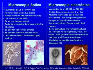 Aumentos de x 100 000 a x 500 000 Poder de resolución entre 3 y 10  Å Muestra atravesada por electrones Las “lentes” son campos magnéticos Imagen en pantalla fluorescente Cortes ultrafinos. Grosor medio 0,05 micras Se ve estructura fina (ultraestructura)  de la célula y sus orgánulos, virus, etc.  Tipos: MEB (microscopio electrónico de barrido) y MET (de transmisión) Unidades de medida: nanómetro y ángstrom (Å) Microscopía electrónica Aumentos de 25 a 1 500 veces Poder de resolución 0,2 micras Muestra atravesada por fotones (luz) Las lentes son de vidrio Se ve una imagen virtual Corte de la muestra de grosor entre 5 y 15 micras Se pueden ver células enteras Se pueden observar células vivas Unidad de medida: micrómetro ( µm)   o micra Microscopía óptica 