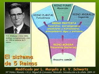 Modificado por L. Margulis y K. V. Schwartz 