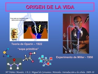 ORIGEN DE LA VIDA Teoría de Oparin – 1922 “ sopa primitiva” Experimento de Miller - 1950 