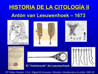 HISTORIA DE LA CITOLOGÍA II Antón van Leeuwenhoek – 1673 El “homúnculo” de Leeuwenhoek 