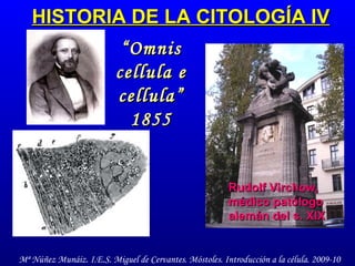 HISTORIA DE LA CITOLOGÍA IV Rudolf Virchow, médico patólogo alemán del s. XIX “ Omnis cellula e cellula” 1855 