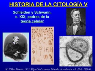 HISTORIA DE LA CITOLOGÍA V Schleiden y Schwann, s. XIX, padres de la  teoría celular 