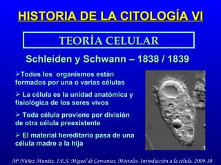 HISTORIA DE LA CITOLOGÍA VI TEORÍA CELULAR Schleiden y Schwann – 1838 / 1839 Todos los  organismos están formados por una o varias células La célula es la unidad anatómica y fisiológica de los seres vivos Toda célula proviene por división de otra célula preexistente El material hereditario pasa de una célula madre a la hija 