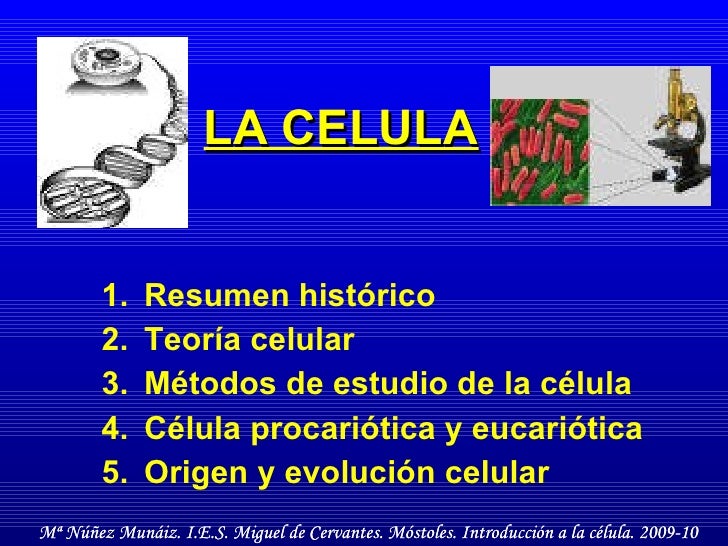 La Celula 1 Introduccion La Celula 1 Introduccion