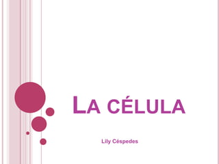 La célula Lily Céspedes 