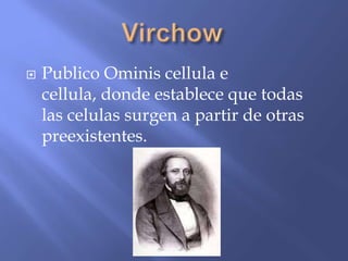    Publico Ominis cellula e
    cellula, donde establece que todas
    las celulas surgen a partir de otras
    preexistentes.
 