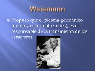    Propuso que el plasma germánico
    (ovulo y espermatozoides), es el
    responsable de la transmisión de los
    caracteres.
 