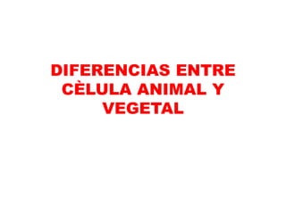 DIFERENCIAS ENTRE
CÈLULA ANIMAL Y
VEGETAL
 