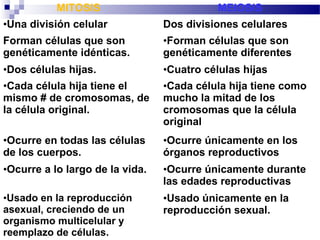 MITOSIS

MEIOSIS

•Una división celular

Dos divisiones celulares

Forman células que son
genéticamente idénticas.

•Forman células que son
genéticamente diferentes

•Dos células hijas.

•Cuatro células hijas

•Cada célula hija tiene el
mismo # de cromosomas, de
la célula original.

•Cada célula hija tiene como
mucho la mitad de los
cromosomas que la célula
original

•Ocurre en todas las células
de los cuerpos.

•Ocurre únicamente en los
órganos reproductivos

•Ocurre a lo largo de la vida.

•Ocurre únicamente durante
las edades reproductivas

•Usado en la reproducción
asexual, creciendo de un
organismo multicelular y
reemplazo de células.

•Usado únicamente en la
reproducción sexual.

 