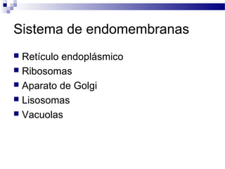 Sistema de endomembranas
Retículo endoplásmico
 Ribosomas
 Aparato de Golgi
 Lisosomas
 Vacuolas


 
