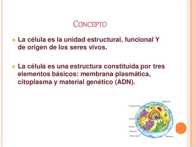 La célula clase demostrativa tecnologia