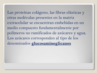 Las proteínas colágeno, las fibras elásticas y otras moléculas presentes en la matriz extracelular se encuentran embebidas en un medio compuesto fundamentalmente por polímeros no ramificados de azúcares y agua. Los azúcares corresponden al tipo de los denominados  glucosaminoglicanos 