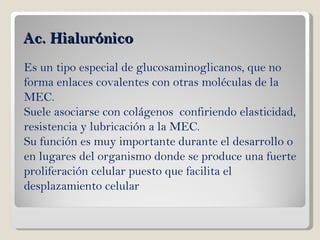 Ac. Hialurónico Es un tipo especial de glucosaminoglicanos, que no  forma enlaces covalentes con otras moléculas de la MEC.  Suele asociarse con colágenos  confiriendo elasticidad, resistencia y lubricación a la MEC. Su función es muy importante durante el desarrollo o en lugares del organismo donde se produce una fuerte proliferación celular puesto que facilita el desplazamiento celular 