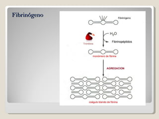 Fibrinógeno  