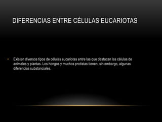 DIFERENCIAS ENTRE CÉLULAS EUCARIOTAS
• Existen diversos tipos de células eucariotas entre las que destacan las células de
animales y plantas. Los hongos y muchos protistas tienen, sin embargo, algunas
diferencias substanciales.
 