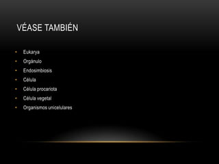 VÉASE TAMBIÉN
• Eukarya
• Orgánulo
• Endosimbiosis
• Célula
• Célula procariota
• Célula vegetal
• Organismos unicelulares
 