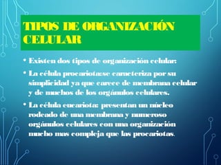 TIPOS DE ORGANIZACIÓN
CELULAR
• Existen dos tipos de organización celular:
• La célula procariota:se caracteriza porsu
simplicidad ya que carece de membrana celular
y de muchos de los orgánulos celulares.
• La célula eucariota: presentan un núcleo
rodeado de una membrana y numeroso
orgánulos celulares con una organización
mucho mas compleja que las procariotas.
 