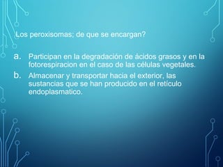 Los peroxisomas; de que se encargan?
a. Participan en la degradación de ácidos grasos y en la
fotorespiracion en el caso de las células vegetales.
b. Almacenar y transportar hacia el exterior, las
sustancias que se han producido en el retículo
endoplasmatico.
 