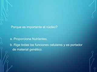 Porque es importante el núcleo?
a. Proporciona Nutrientes.
b. Rige todas las funciones celulares y es portador
de material genético.
 