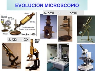 EVOLUCIÓN MICROSCOPIO
S. XVII - XVIII
S. XIX - XX
 