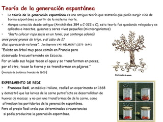 Teoría de la generación espontánea
• La teoría de la generación espontánea es una antigua teoría que sostenía que podía surgir vida de
forma espontánea a partir de la materia inerte.
• Aunque conocida desde antiguo (Aristóteles 384 a C-322 a C), esta teoría fue quedando relegada y se
aplicaba a insectos, gusanos y seres vivos pequeños (microorganismos). 
• "Basta colocar ropa sucia en un tonel, que contenga además
unos pocos granos de trigo, y al cabo de 21
días aparecerán ratones". Jan Baptista VAN HELMONT (1579- 1644)
“Existe un árbol muy poco común en Francia pero
observado frecuentemente en Escocia.
Por un lado sus hojas tocan el agua y se transforman en peces,
por el otro, tocan la tierra y se transforman en pájaros “
(tratado de botánica francés de 1609)
EXPERIMENTO DE REDI
• Franceso Redi, un médico italiano, realizó un experimento en 1668
y demostró que las larvas de la carne putrefacta se desarrollaban de
huevos de moscas y no por una transformación de la carne, como
afirmaban los partidarios de la generación espontánea.
Pero el propio Redi creía que determinados circunstancias
si podía producirse la generación espontánea.
 