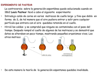 EXPERIMENTO DE PASTEUR
La controversia sobre la generación espontánea quedo solucionada cuando en
1862 Louis Pasteur llevó a cabo el siguiente experimento:
• Introdujo caldo de carne en varios matraces de cuello largo y fino que doblo en
forma de S, de tal manera que el aire pudiera entrar y salir pero cualquier
partícula que entrara con el aire quedaba retenida en el cuello.
• Hirvió los caldos y se comprobó que ninguno se contaminaba con el paso del
tiempo. Después rompió el cuello de algunos de los matraces y se demostró que
éstos se alteraban en poco tiempo, mostrando pequeños organismos vivos. Los
otros matraces permanecieron inalterados.
• De esta manera la teoría de la generación espontanea quedaba invalidada.
 