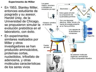 Experimento de Miller
• En 1953, Stanley Miller,
entonces estudiante de
posgrado y su asesor,
Harold Urey, de la
Universidad de Chicago,
se propusieron simular la
evolución prebiótica en el
laboratorio, con éxito.
• En experimentos
similares realizados por
Miller y otros
investigadores se han
producido aminoácidos,
proteínas cortas,
nucleótidos, trifosfato de
adenosina, y otras
moléculas características
de los seres vivos
 
