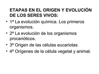ETAPAS EN EL ORIGEN Y EVOLUCIÓN
DE LOS SERES VIVOS:
• 1ª La evolución química. Los primeros
organismos.
• 2ª La evolución de los organismos
procarióticos.
• 3ª Origen de las células eucariotas
• 4ª Orígenes de la célula vegetal y animal.
 